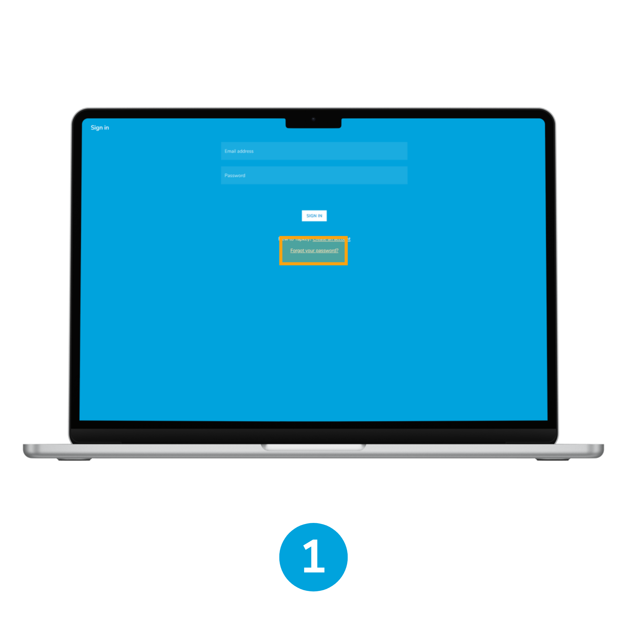 Reset Password.png